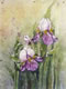 Gallery: Batik Irises - 22 x 30