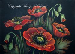 Poppy Field