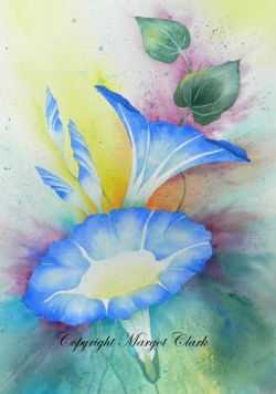Morning Glories E-Packet 229