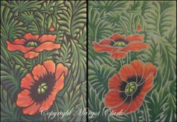 Colored Pencil Poppies 252